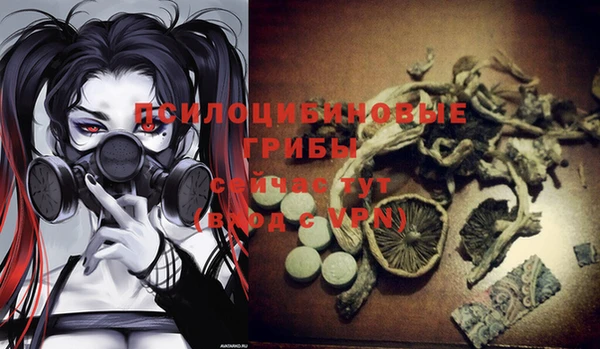 2c-b Михайловка