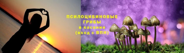 2c-b Михайловка
