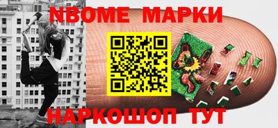 крисы Кулебаки