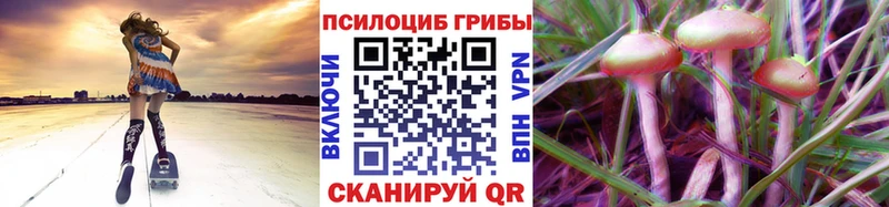 Псилоцибиновые грибы мухоморы  купить  сайты  Серпухов 