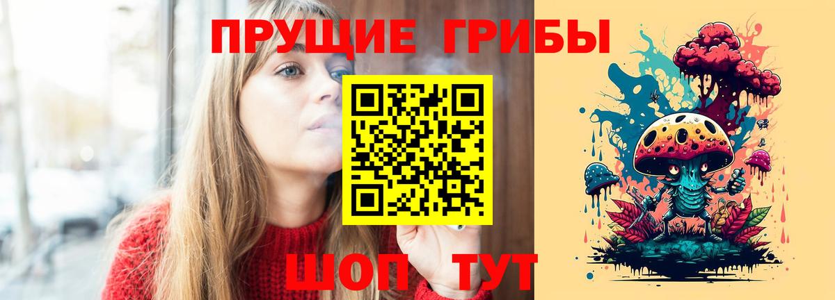 Псилоцибиновые грибы мицелий Серпухов
