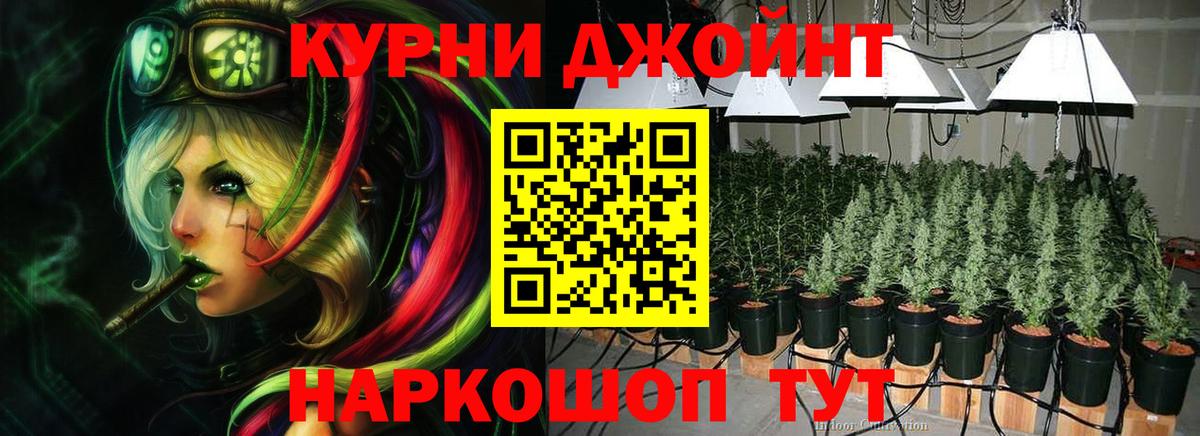 Конопля гибрид Серпухов